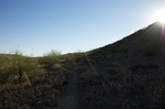 photo thumbnail #5