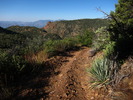 photo thumbnail #2