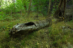 photo thumbnail #9