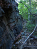 photo thumbnail #11