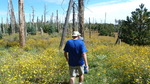 photo thumbnail #14