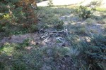 photo thumbnail #8