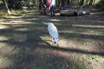 photo thumbnail #3