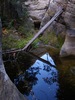 photo thumbnail #13