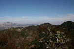 photo thumbnail #6