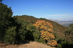 photo thumbnail #11