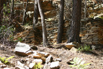 photo thumbnail #3