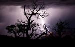 photo thumbnail #8