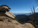 photo thumbnail #5