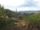 photo thumbnail #11