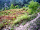 photo thumbnail #2