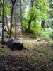 photo thumbnail #6