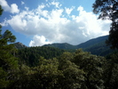 photo thumbnail #14