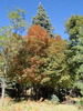 photo thumbnail #5