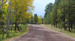 photo thumbnail #2
