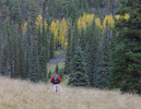 photo thumbnail #3