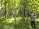 photo thumbnail #6