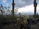 photo thumbnail #2