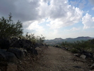 photo thumbnail #3
