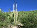 photo thumbnail #3