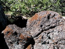 photo thumbnail #4