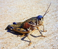 photo thumbnail #2