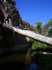 photo thumbnail #3