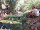 photo thumbnail #10