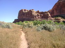 photo thumbnail #9