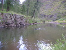 photo thumbnail #1