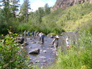 photo thumbnail #6