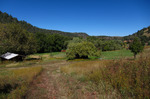 photo thumbnail #6