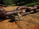 photo thumbnail #8