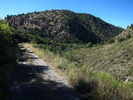 photo thumbnail #5