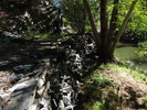 photo thumbnail #12