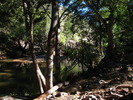 photo thumbnail #15
