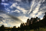 photo thumbnail #7