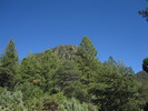 photo thumbnail #11