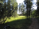 photo thumbnail #15
