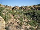 photo thumbnail #6