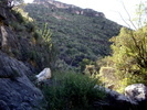 photo thumbnail #8