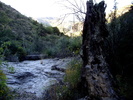 photo thumbnail #9