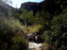 photo thumbnail #14