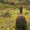 photo thumbnail #1