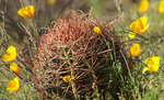 photo thumbnail #6
