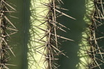 photo thumbnail #14