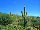 photo thumbnail #2