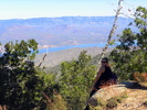 photo thumbnail #8