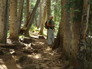 photo thumbnail #3