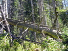 photo thumbnail #8